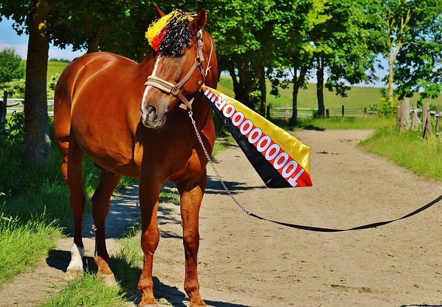 新生代中場 新生代中場