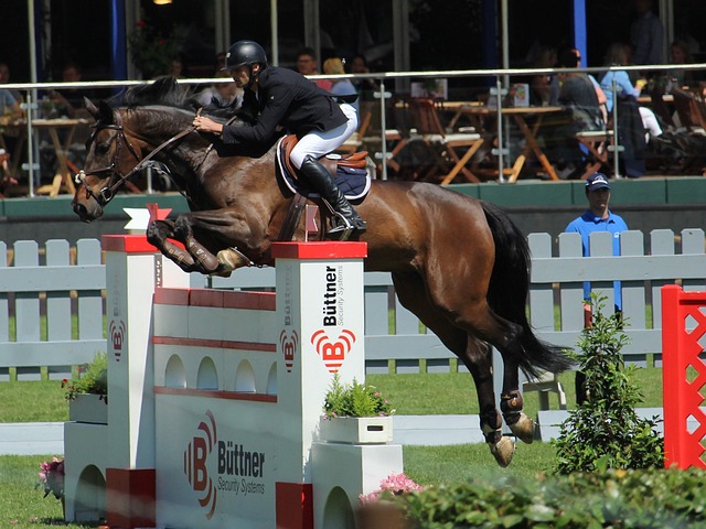 楚地显示 楚地显示