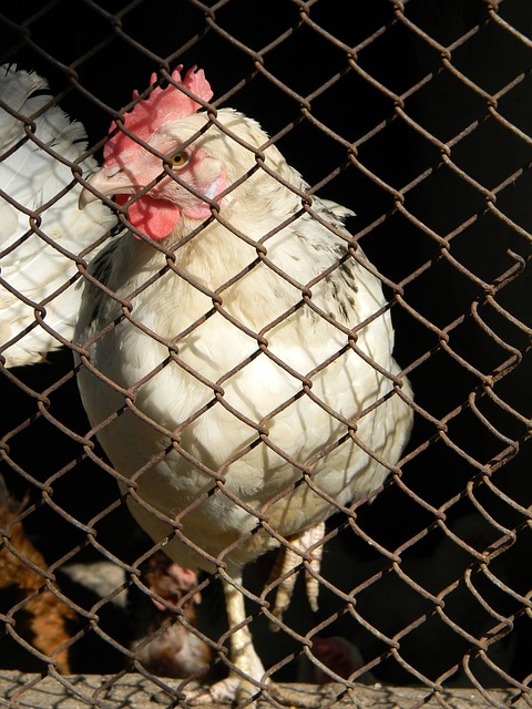 这对球队的 这对球队的