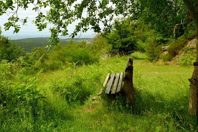 这种情况下 这种情况下